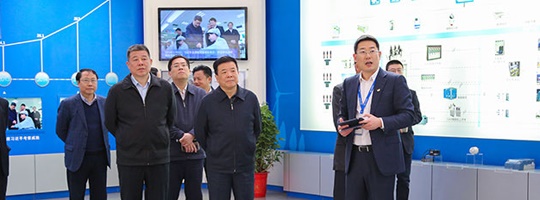湖南省副省長(cháng)陳飛一行蒞臨威勝電氣考察調研