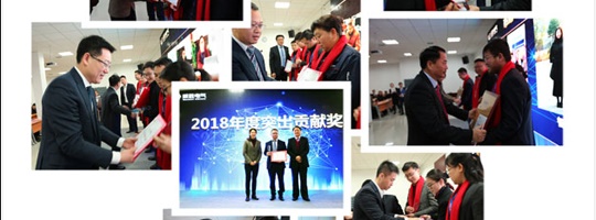 銳意進(jìn)取，創(chuàng  )新發(fā)展—威勝電氣2018年度總結表彰大會(huì )圓滿(mǎn)結束