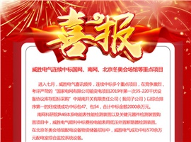 威勝電氣連續中標國網(wǎng)、南網(wǎng)、北京冬奧會(huì )場(chǎng)館等重點(diǎn)項目