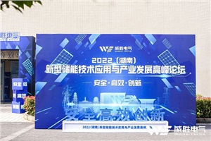 “2022（湖南）新型儲能技術(shù)應用與產(chǎn)業(yè)發(fā)展高峰論壇”圓滿(mǎn)召開(kāi)