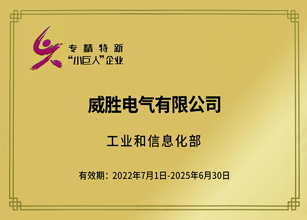 國家專(zhuān)精特新小巨人企業(yè)