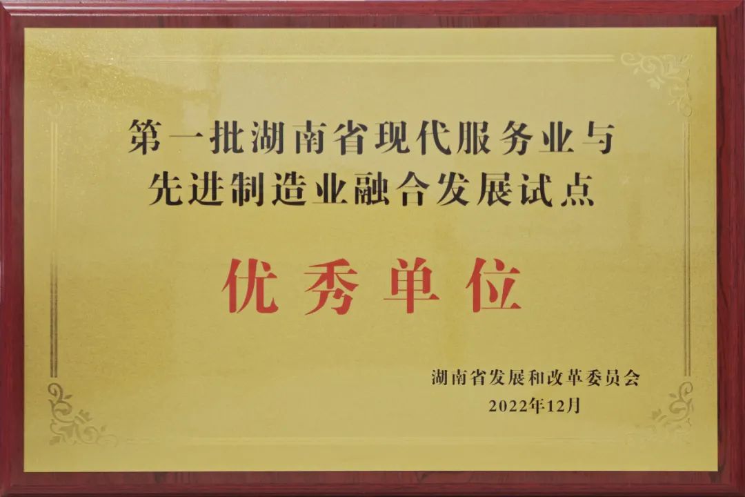 湖南省第一批優(yōu)秀試點(diǎn)單位！威勝能源兩業(yè)融合工作再獲殊榮！